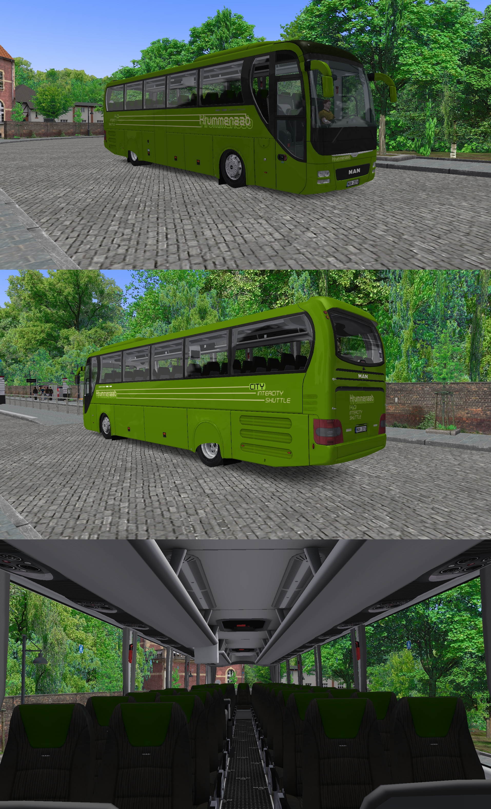 P1.jpg