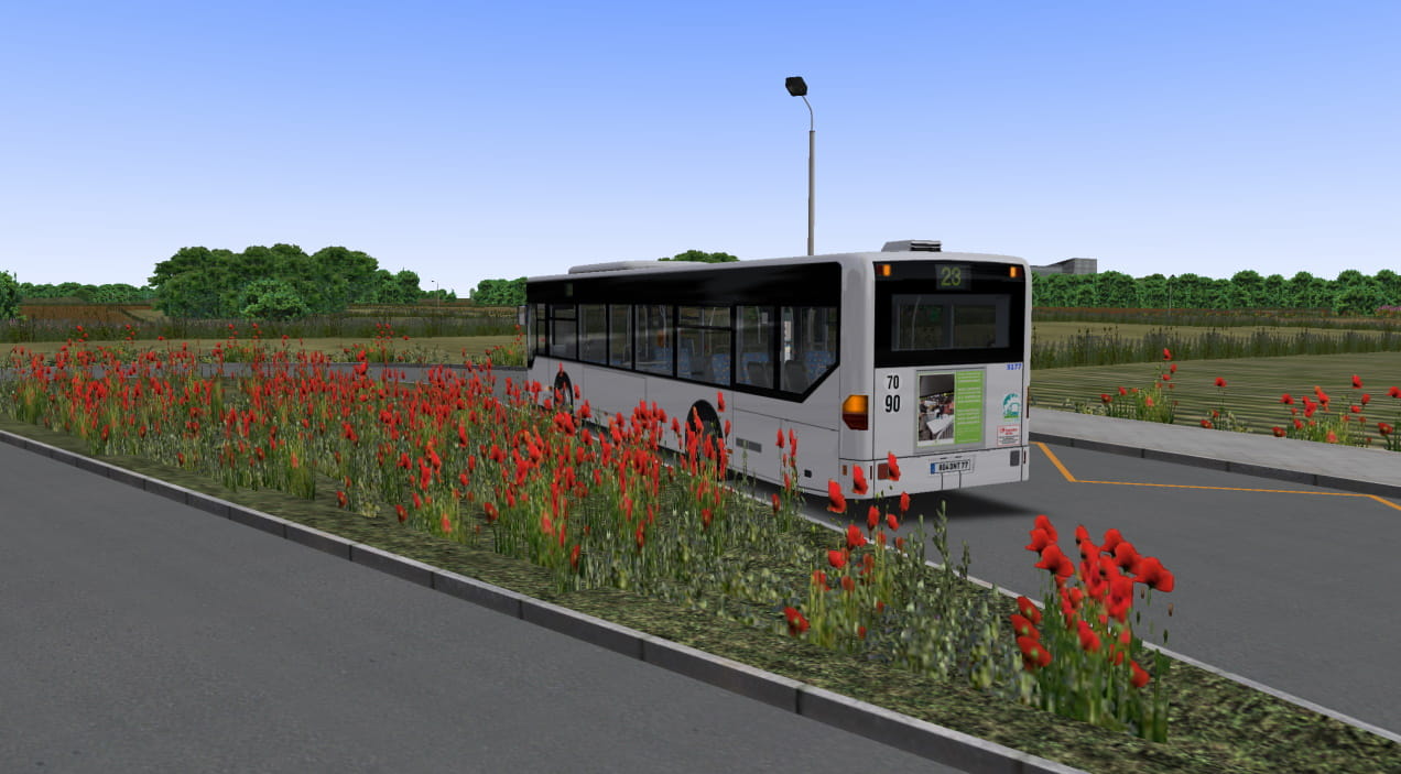 bus 4.jpg