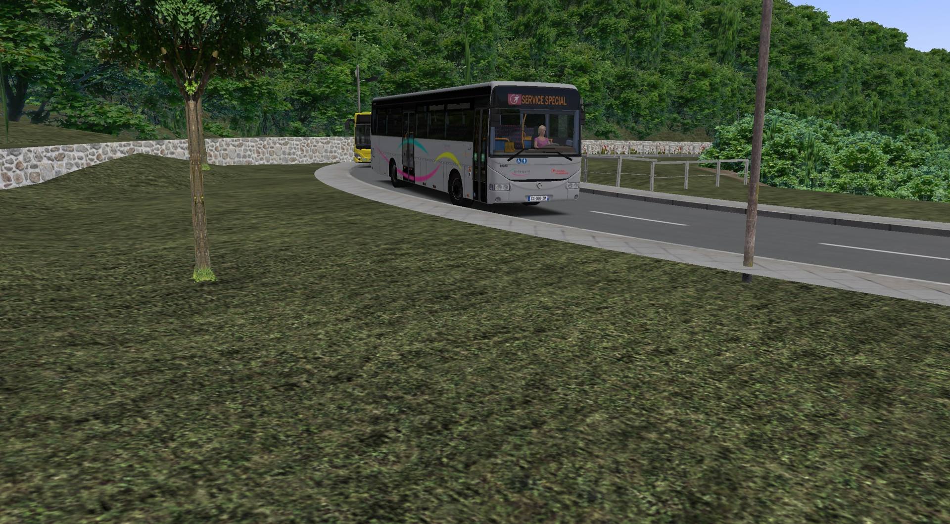 arlequin 2_autoscaled.jpg