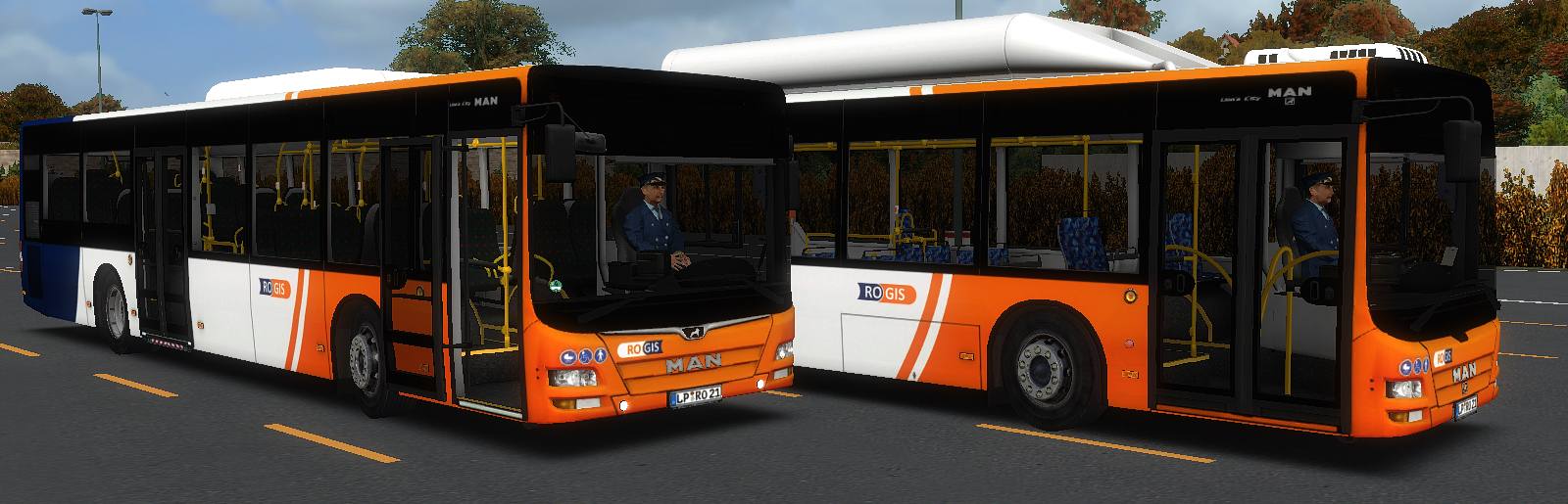ROGIS2020_A21_autoscaled.jpg