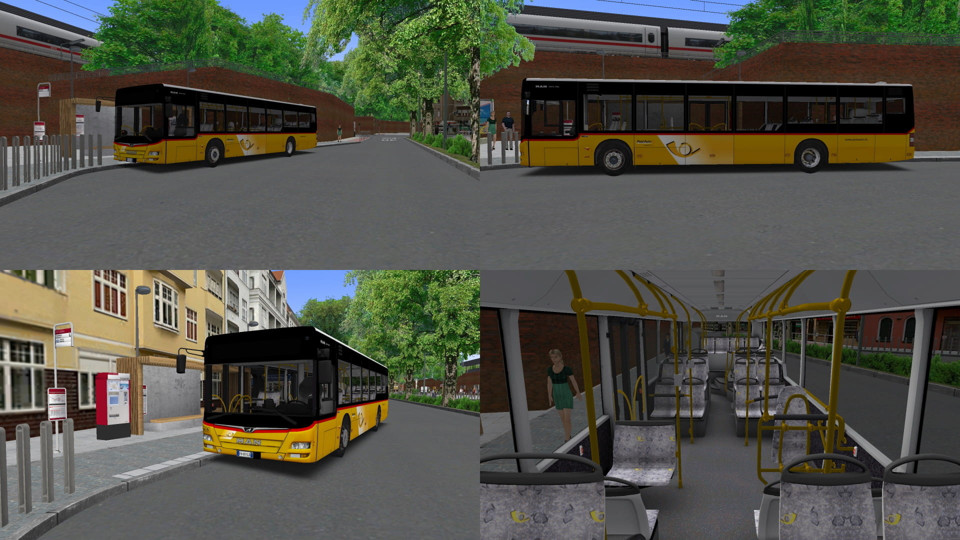 P1.jpg