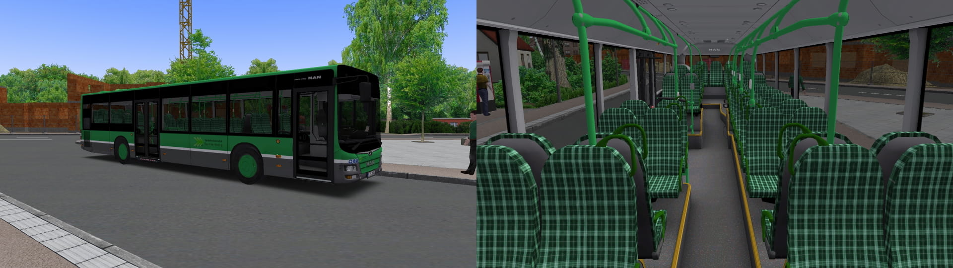 T1.jpg