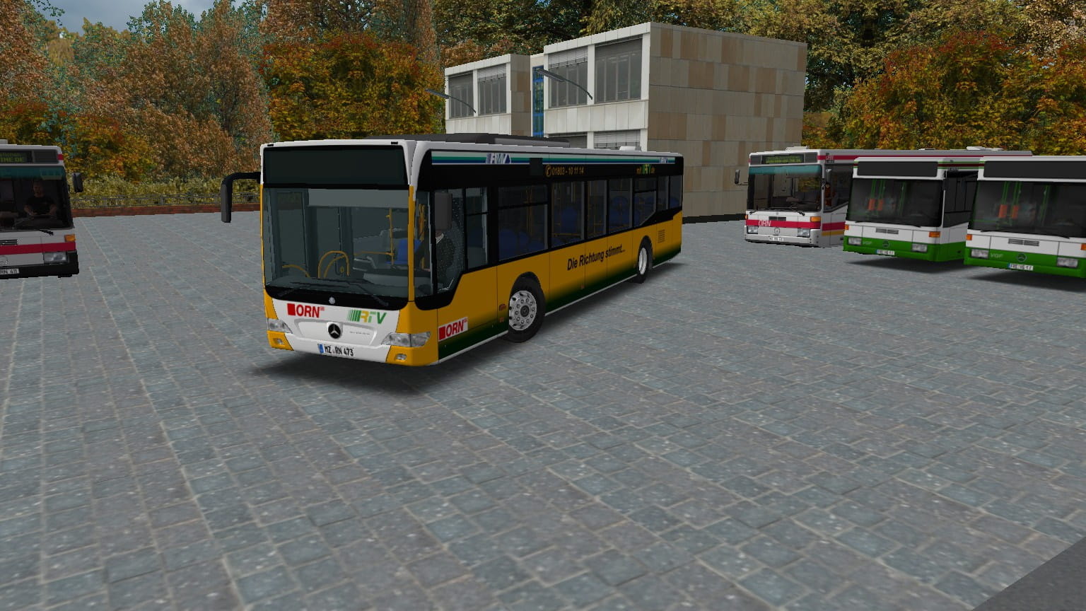 473.jpg