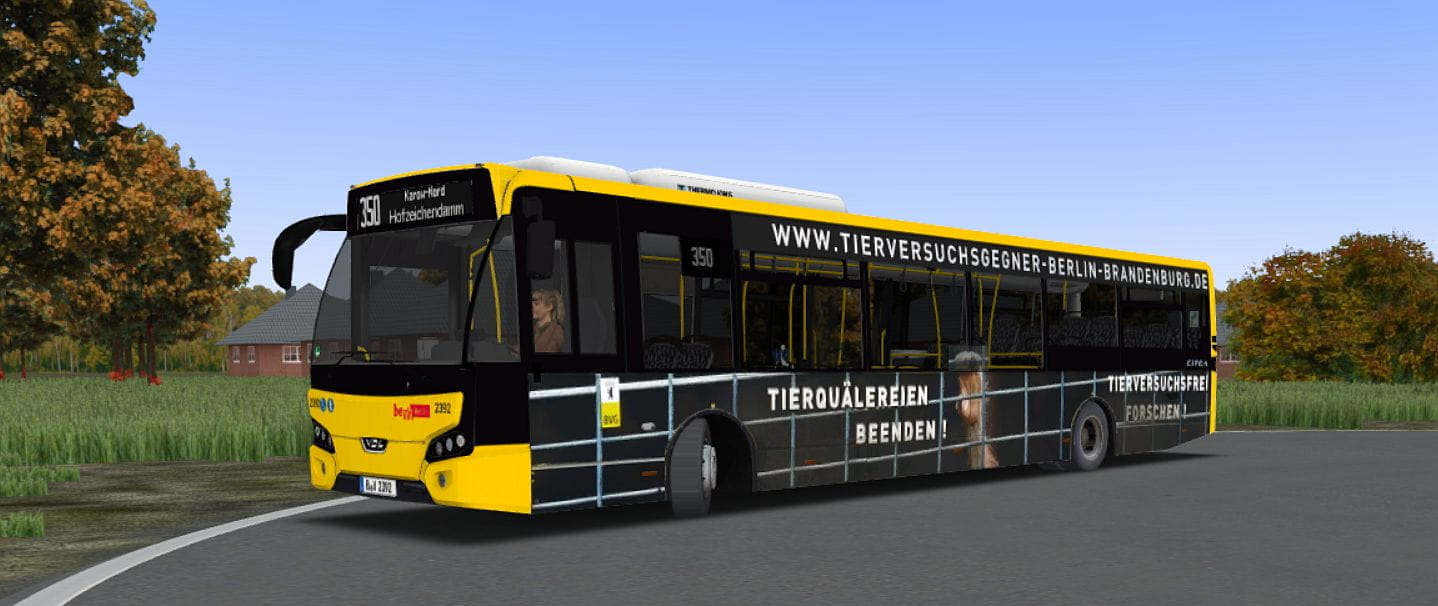 bv3.jpg