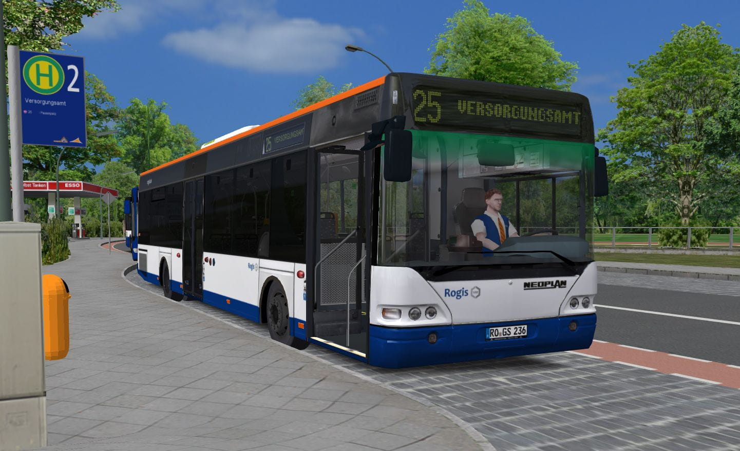 n4416_rogis.jpg