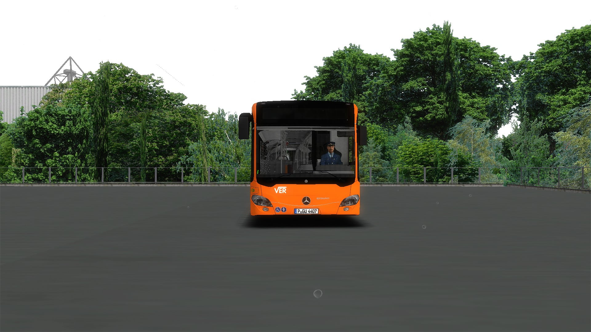 252530_236.jpg