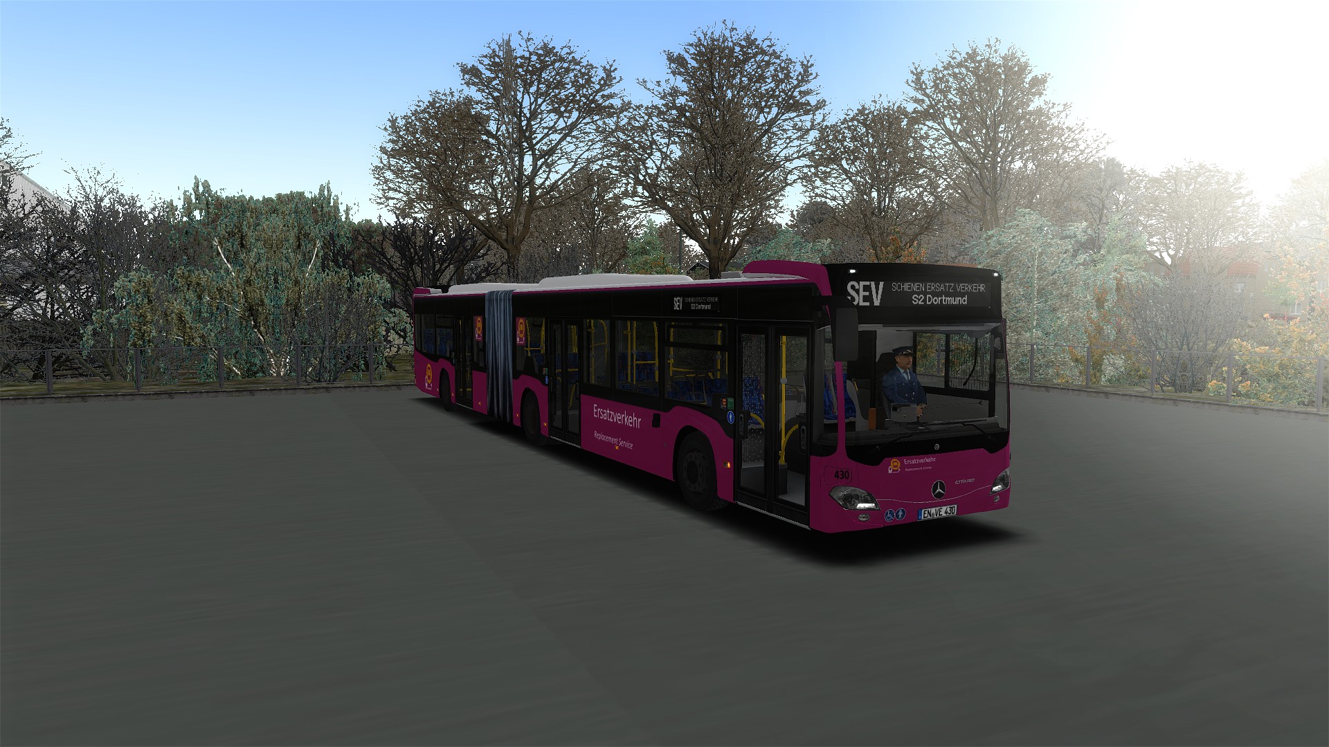 252530_401.jpg