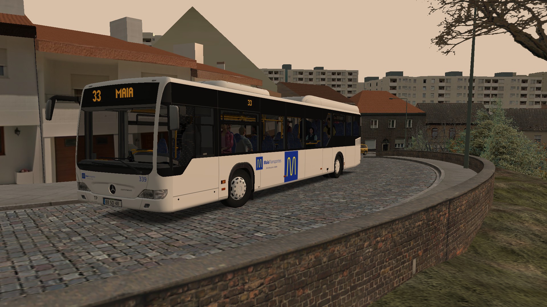252530_62.jpg