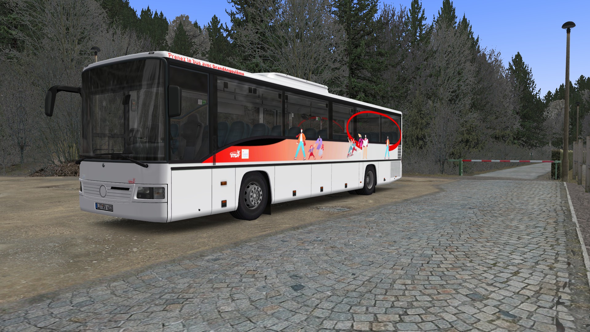 252530_24.jpg