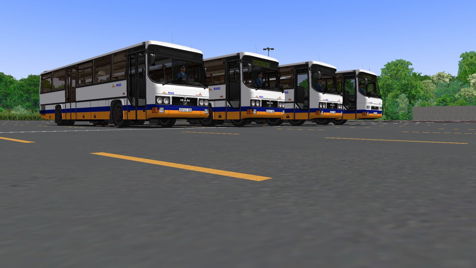 Rogis Pack.jpg