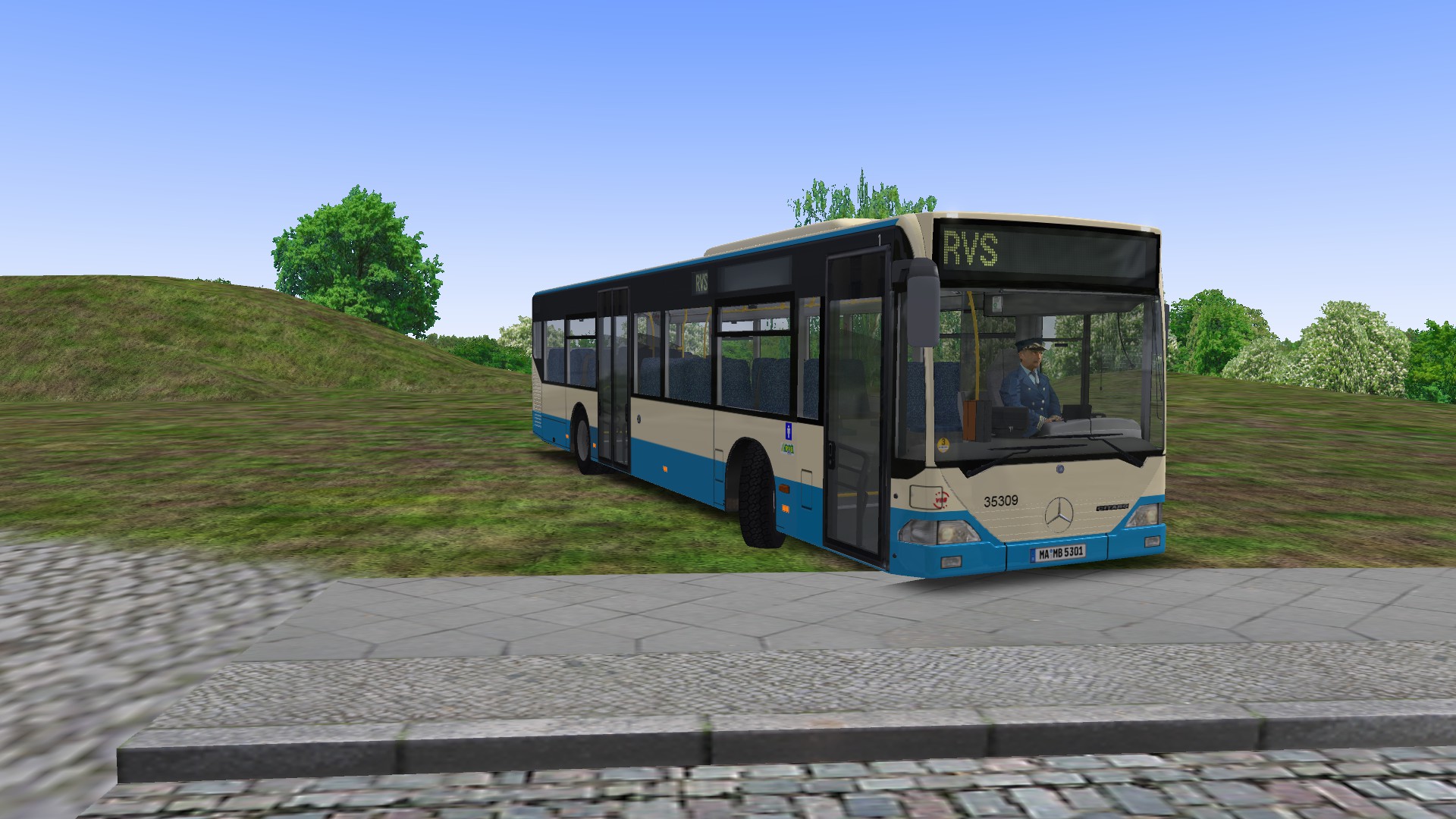 RVS Standart.jpg